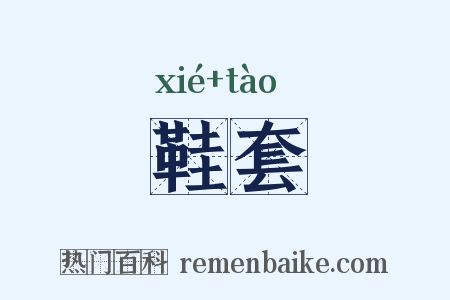 鞋套是什么意思的图片